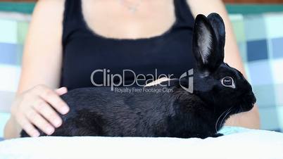 Woman holding and petting a black rabbit