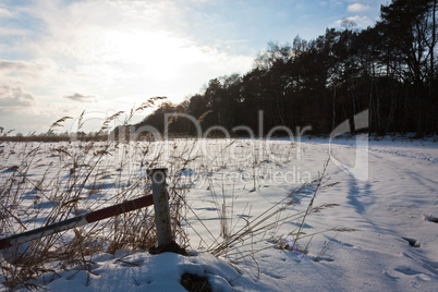 Wiese im Winter