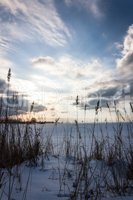 Feld im Winter