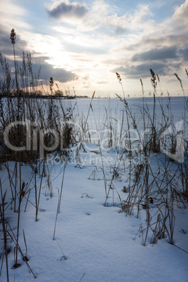 Feld im Winter