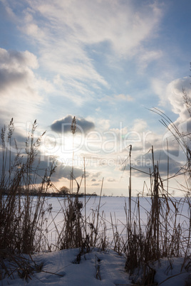 Feld im Winter