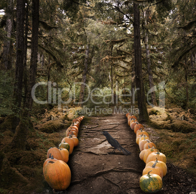 Spooky Trees And  Pumpkins