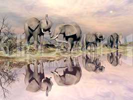 Elephants and water - 3D render