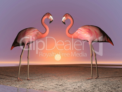 Flamingos date - 3D render
