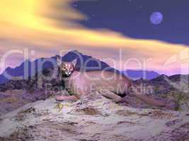 Caracal or desert lynx - 3D render