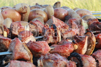 appetizing barbecue on the fire