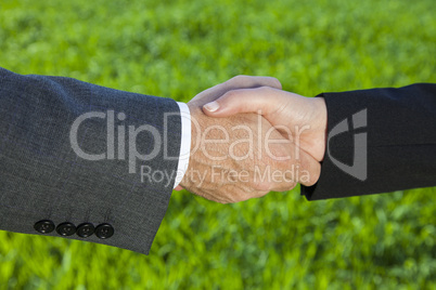 Businessman Man & Woman Businesswoman Handshake Shaking Hands