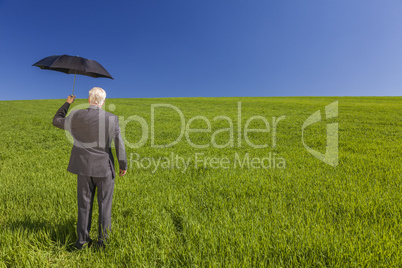 Businessman In A Green Field With An Umbrella