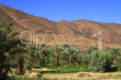 Draa Valley