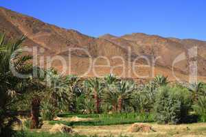 Draa Valley