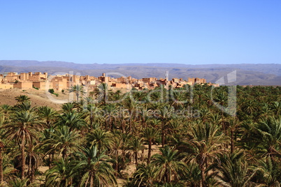 Draa Valley