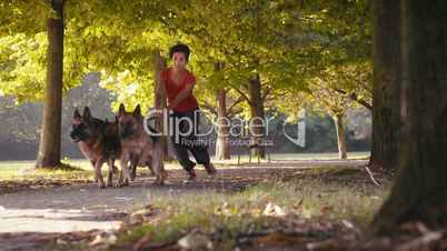 1of15 People, pets, dog sitter with alsatian dogs in park
