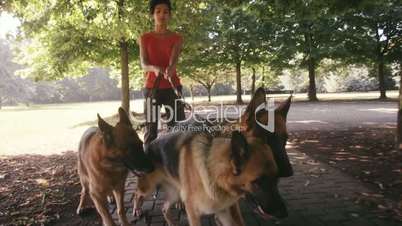 2of15 People, pets, dog sitter with alsatian dogs in park