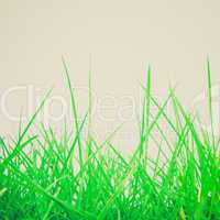 retro look grass meadow weed