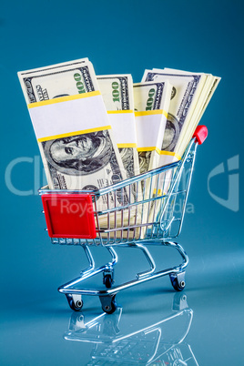 shopping cart and money