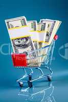 shopping cart and money