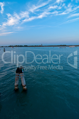 venice italy lagune view with bricole