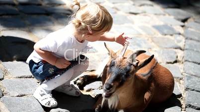 Sweet little girl in the zoo with goats