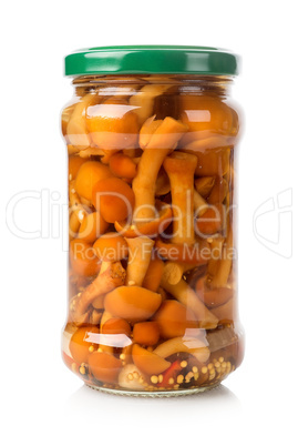 Honey agarics in a glass jar