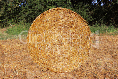 stack of straw