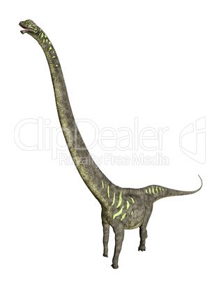 Dinosaurier Mamenchisaurus