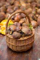 basket with mushrooms