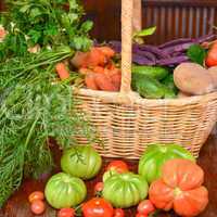 Vegetable basket