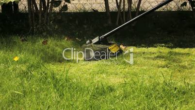 Man cutting grass with lawn mower.