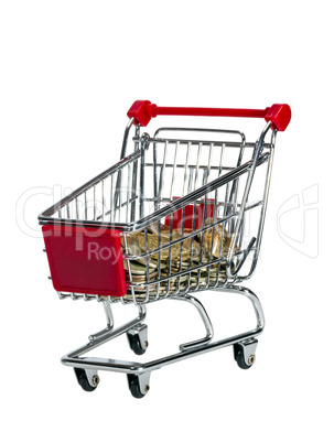 shopping cart with money