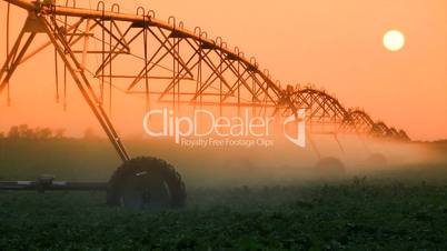 Crop Irrigation at Sunset