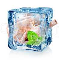 Chicken in ice cube