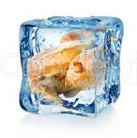 Roasted chicken in ice cube