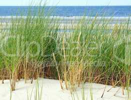 Sanddüne am Meer