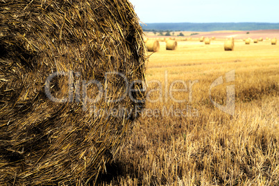 Strohballen auf abgeernteten Feld