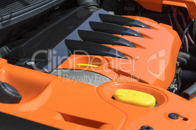 Schwarz - orange lackierter Motor