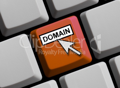Online Domain