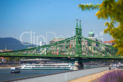 view of liberty bridge over danube and  buda castle, budapest