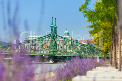 view of liberty bridge over danube and  buda castle, budapest