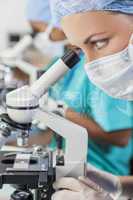 Female Scientific Research Team Using Microscopes in Laboratory