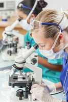 Female Scientist Research Team Using Microscopes in Laboratory