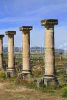 Volubilis