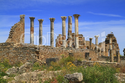 Volubilis