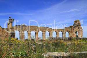 Volubilis