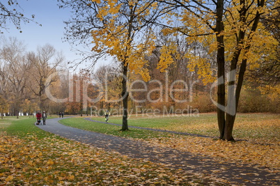 Herbst im Park