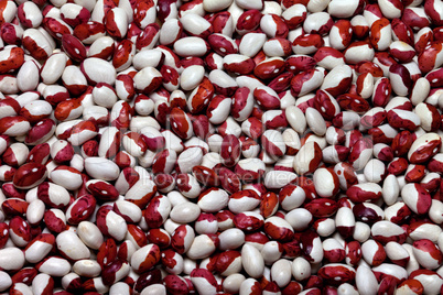 haricot beans background