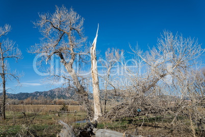 Landschaft in Colorado