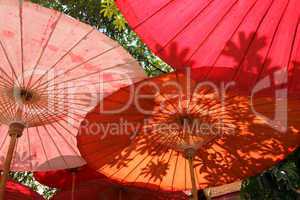 oriental umbrellas