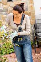 Woman pruning autumn tree clippers garden hobby