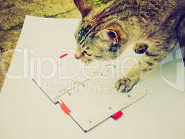 retro look cat reading notekeeper