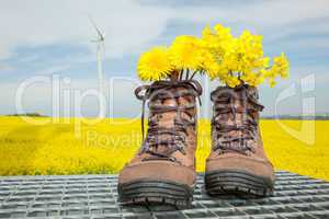 Hiking boots with flowers in nature